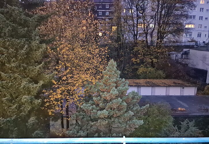 Blick vom Balkon